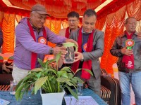 थ्री  ब्रदर्स तेक्वान्दो दोजाडको आयोजनामा दोस्रो काठमाडौं जिल्लास्तरीय तेक्वान्दो प्रतियोगिता २०८२ सम्पन्न 