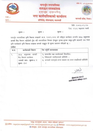 नागार्जुनमा ७५% अनुदानमा धानको बीउ वितरण, कृषकलाई आवेदन दिन आग्रह