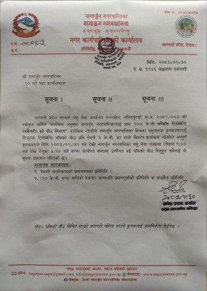 नागार्जुनमा निःशुल्क टियोसेन्टि (मकैचरी) घाँसको बीउ वितरण कार्यक्रम सुरु हुने