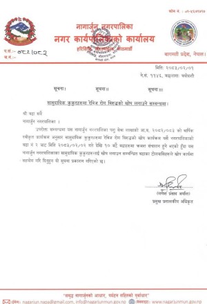 नागार्जुनमा सामुदायिक कुकुरहरूमा रेबिज विरुद्धको निःशुल्क खोप अभियान सुरु हुने