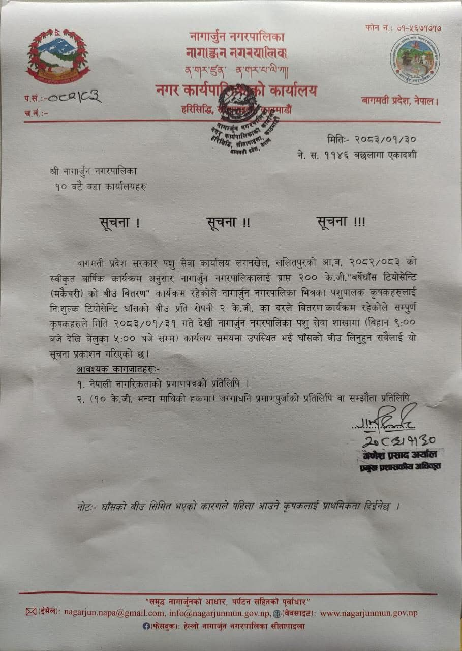 नागार्जुनमा निःशुल्क टियोसेन्टि (मकैचरी) घाँसको बीउ वितरण कार्यक्रम सुरु हुने