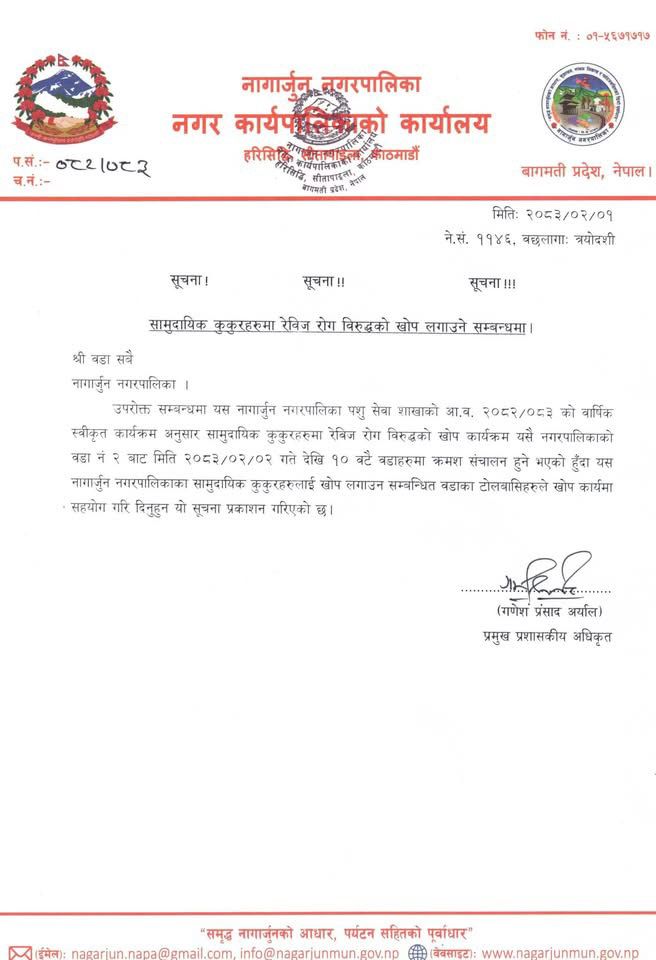 नागार्जुनमा सामुदायिक कुकुरहरूमा रेबिज विरुद्धको निःशुल्क खोप अभियान सुरु हुने